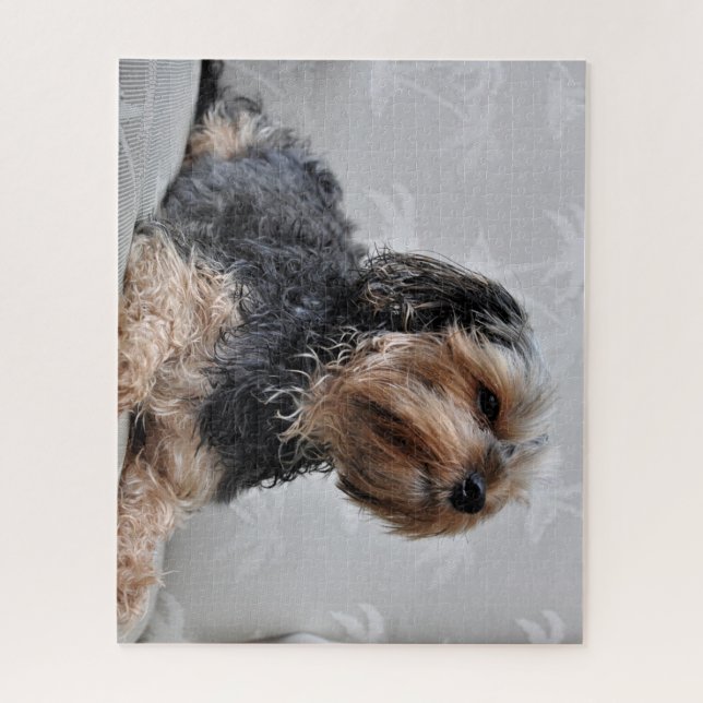 Niedlich Yorkie Yorkshire Terrier Sunbaden Puzzle (Vertikal)