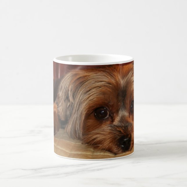 Niedlich Yorkie Yorkshire Terrier Tasse (Mittel)