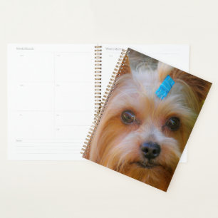 Niedlich Yorkshire Terrier Dog Head Planer