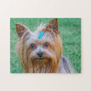 Niedlich Yorkshire Terrier Dog Head Puzzle