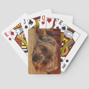 Niedlich Yorkshire Terrier dog Yorkie Puppy Spielkarten