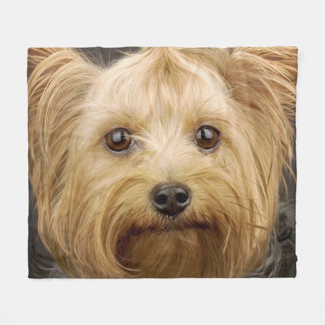 Niedlich Yorkshire Terrier Fleecedecke (Vorderseite (Horizontal))