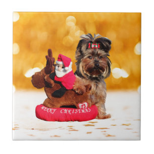 Niedlich Yorkshire Terrier Frohe Weihnachten Fliese