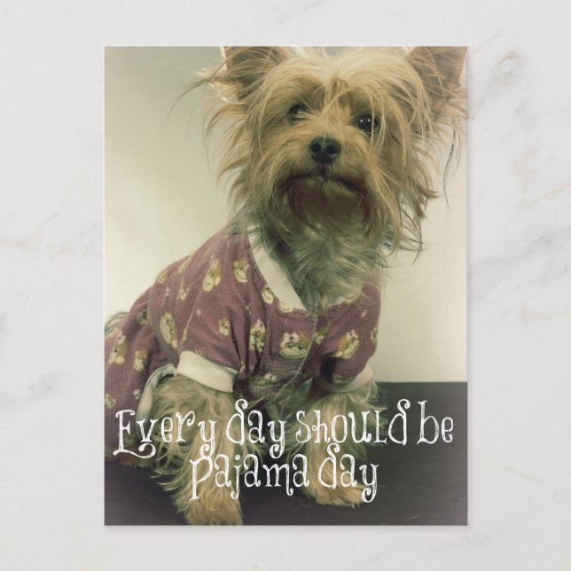 Niedlich Yorkshire Terrier in Pajamas mit Zitat Postkarte (Vorderseite)
