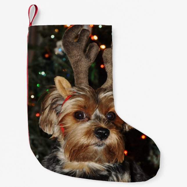 Niedlich Yorkshire Terrier mit Reindeer Antlers Kleiner Weihnachtsstrumpf (Vorderseite)