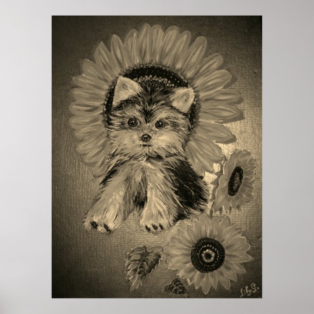 Niedlich Yorkshire Terrier mit Sonnenblumen Poster (Vorne)