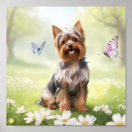 Niedlich Yorkshire Terrier Poster