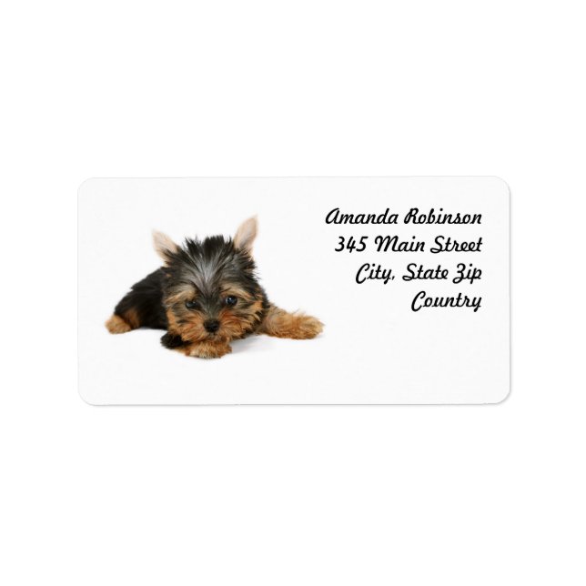 Niedlich Yorkshire Terrier Puppy Adressaufkleber (Vorne)