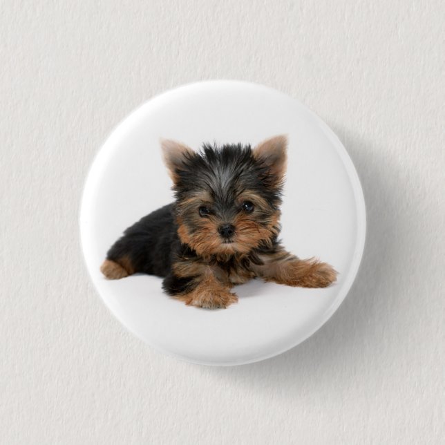 Niedlich Yorkshire Terrier Puppy Button (Vorderseite)