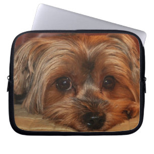 Niedlich Yorkshire Terrier Puppy Dog Laptopschutzhülle