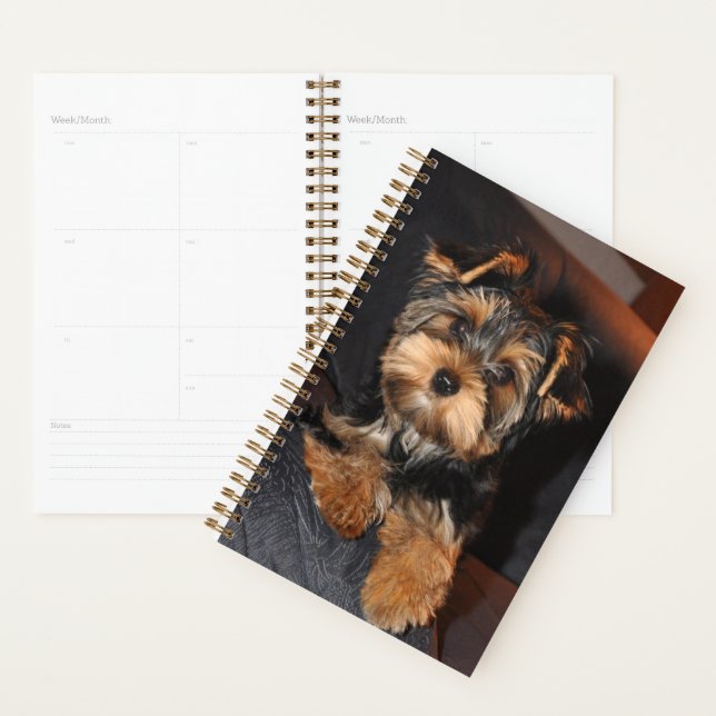 Niedlich Yorkshire Terrier Puppy Dog Planer (Anzeige)