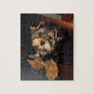 Niedlich Yorkshire Terrier Puppy Dog Puzzle
