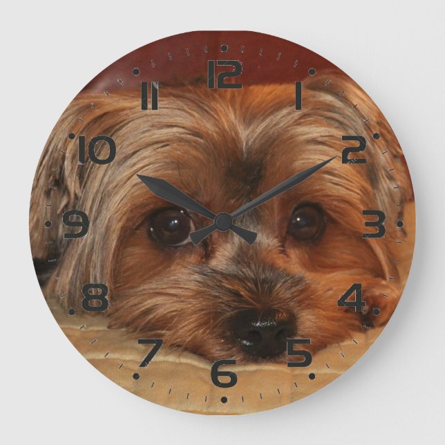 Niedlich Yorkshire Terrier Puppy Große Wanduhr (Vorderseite)