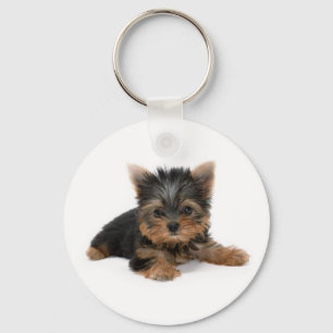 Niedlich Yorkshire Terrier Puppy Schlüsselanhänger