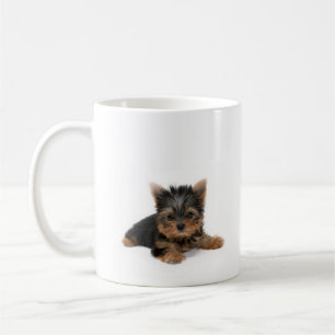 Niedlich Yorkshire Terrier Puppy Tasse