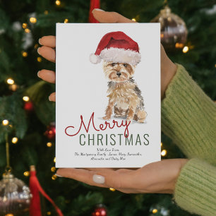 Niedlich Yorkshire Terrier Weihnachtsmannmütze Fro Feiertagskarte