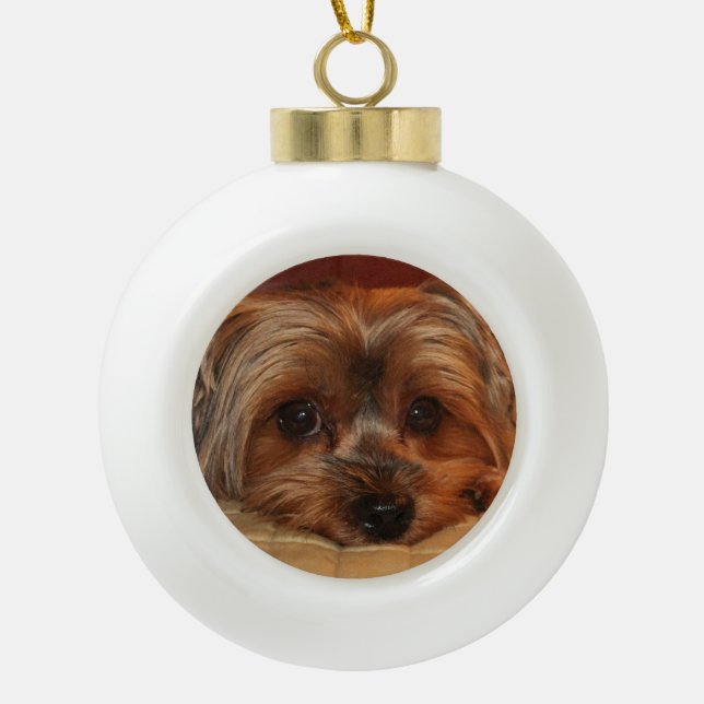 Niedlich Yorkshire Terrier Yorkie Dog Keramik Kugel-Ornament (Vorderseite)
