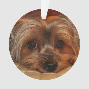 Niedlich Yorkshire Terrier Yorkie Dog Ornament