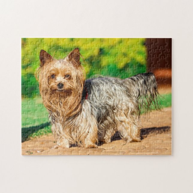Niedlich Yorkshire Terrier Yorkie Doppy Puppy Puzzle (Horizontal)