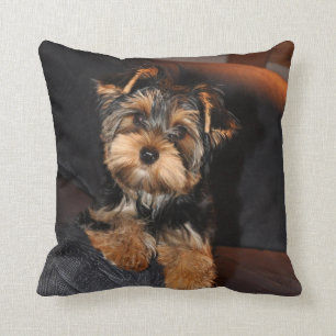 Niedlich Yorkshire Terrier Yorkie Puppy Dog Pillow Kissen