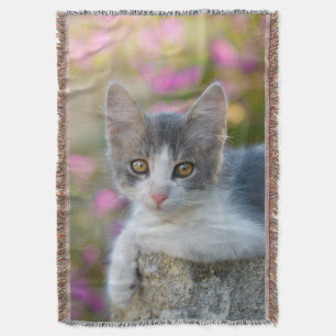 Niedlich Young Bicolor Cat Kitten Pink Blume - Decke