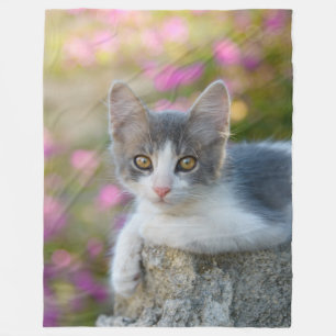 Niedlich Young Bicolor Cat Kitten Pink Blume - Fleecedecke