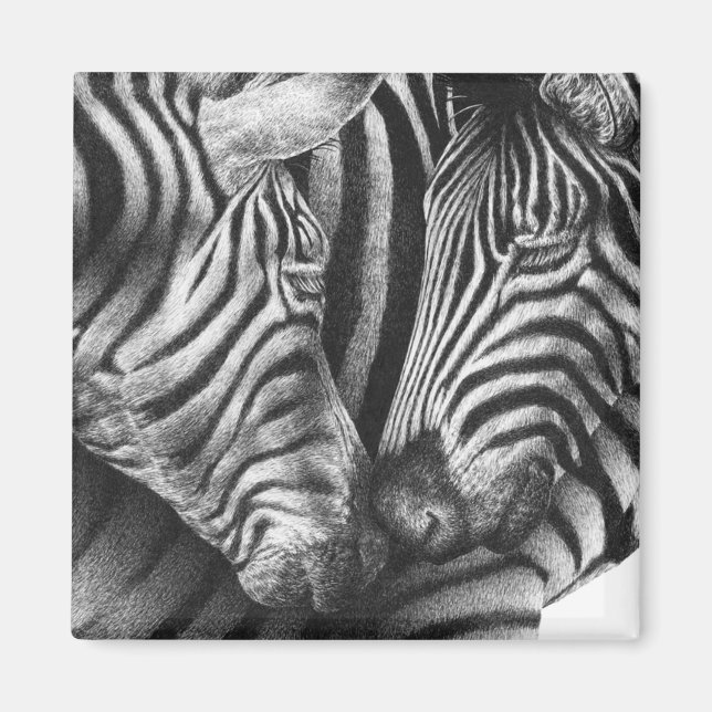 Niedlich Zebra Magnet (Vorne)