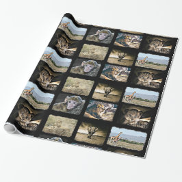 Niedliche Affe-, Löwe-und Geschenkpapier