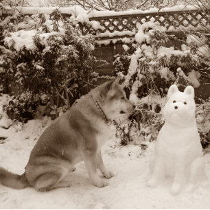 niedliche akita im Schnee mit Schneemann akita Hun Puzzle