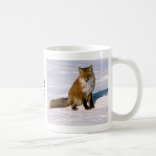 Niedliche Alaska Red Fox Morning Latte Kaffee Tass Tasse