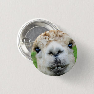 Niedliche Alpaca-Landschaft Button
