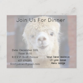 Niedliche Alpaca-Oberfläche Einladungspostkarte