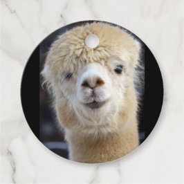 Niedliche Alpaca-Oberfläche Geschenkanhänger