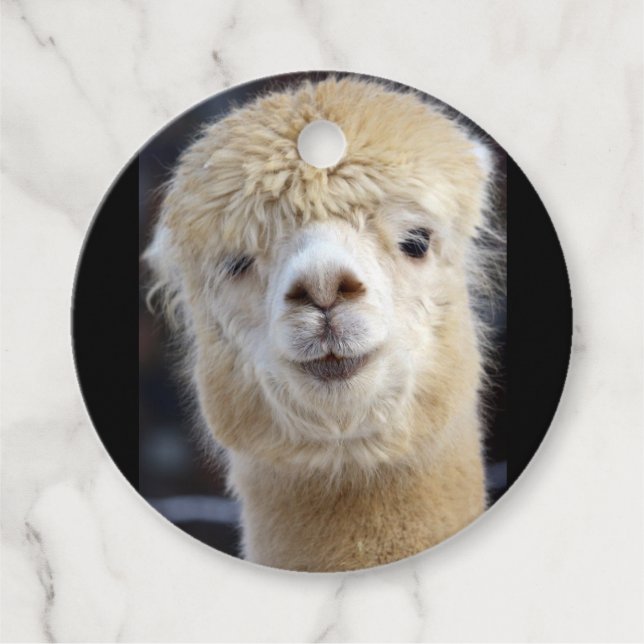 Niedliche Alpaca-Oberfläche Geschenkanhänger (Vorderseite)