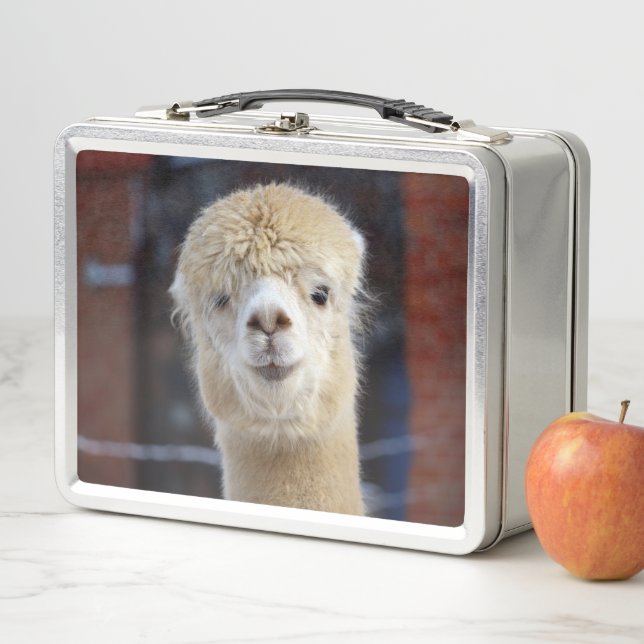 Niedliche Alpaca Oberfl che Metall Brotdose Zazzle.at