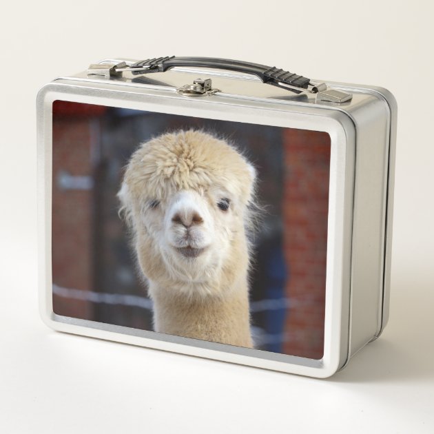 Niedliche Alpaca Oberfl che Metall Brotdose Zazzle.at