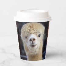 Niedliche Alpaca-Oberfläche