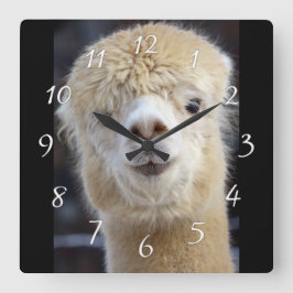 Niedliche Alpaca-Oberfläche Quadratische Wanduhr