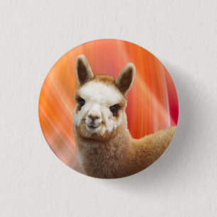 Niedliche Alpaka-Knöpfe Button