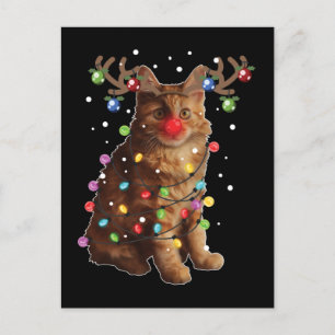 Niedliche amerikanische Bobtail Cat Weihnachtsgesc Postkarte