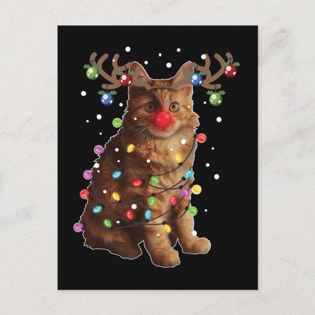 Niedliche amerikanische Bobtail Cat Weihnachtsgesc Postkarte (Vorderseite)