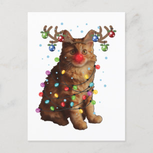 Niedliche amerikanische Bobtail Cat Weihnachtsgesc Postkarte