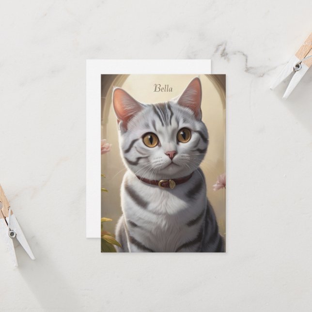 Niedliche amerikanische Kurzkatze mit Big Eyes (Vorderseite/Rückseite Beispiel)