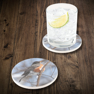 Niedliche amerikanische Robin Sits auf der Snowy B Getränkeuntersetzer