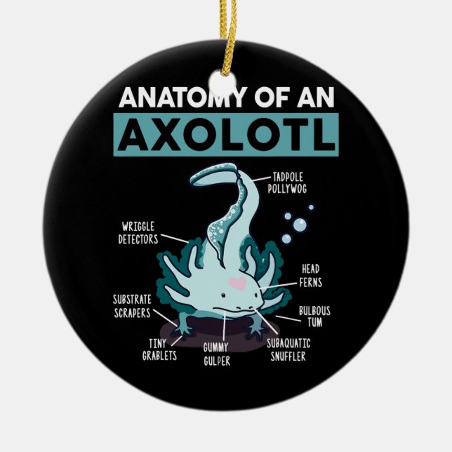 Niedliche Anatomie eines Axolotl Salamander Keramik Ornament (Vorne)