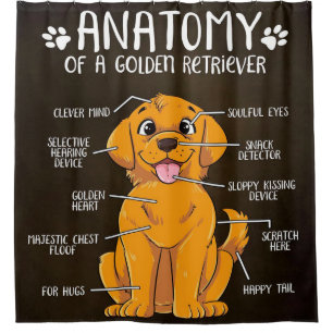 Niedliche Anatomie Golden Retriever Hund Lover Duschvorhang