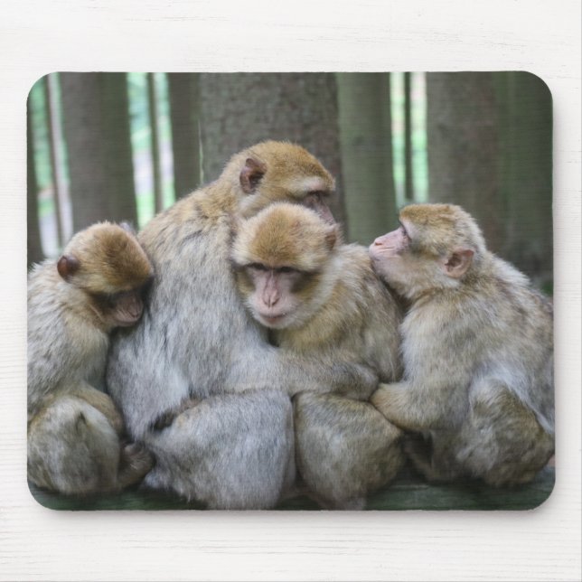 Niedliche Ape Family Group Umarmungsfotografie Mousepad (Vorne)