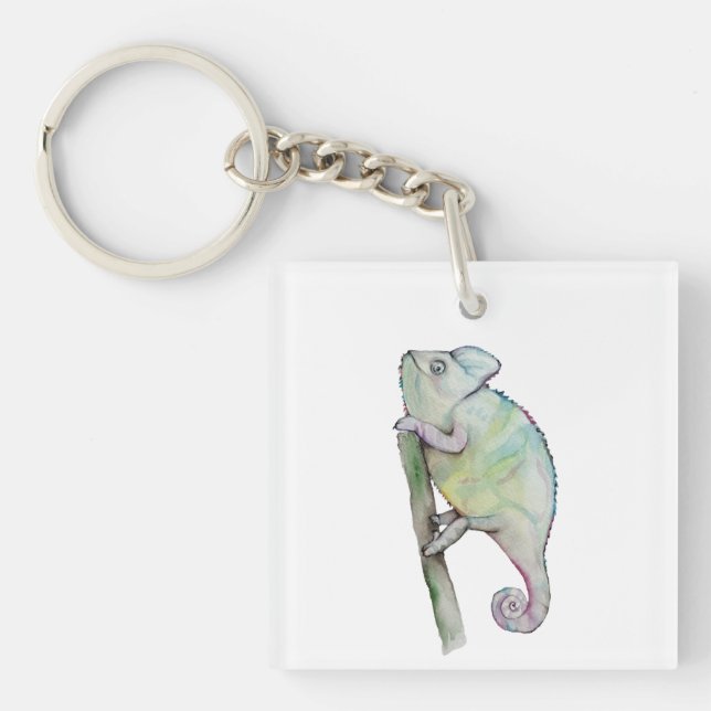 Niedliche Aquarellkammer Schlüsselanhänger (Vorderseite)