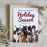 Niedliche Aquarellkatzen Frische Weihnachten<br><div class="desc">Wir wünschen Ihnen eine perfekte Urlaubssaison! Versenden Sie Ihre Urlaubsstimmung mit dieser Katzen-Themenkarte. Es verfügt über eine bezaubernde Gruppe von Katzen mit festlichen Hüten. Personalisieren Sie diese durch Hinzufügen von Namen,  Jahr,  Nachricht und Foto. Diese Ferienkarte ist perfekt für Katzenliebhaber.</div>