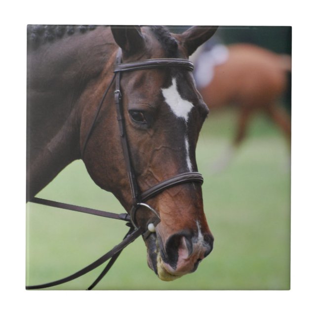 Niedliche arabische Pferdefliese Fliese (Vorderseite)